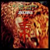 Jaguares - El Equilibrio De Los Jaguares / Reissue / Vinyl / 2LP [LP]