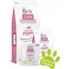 Brit Care Grain free Puppy Salmon & Potato 12kg Brit