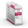 Epson Vivid Magenta T54X300 UltraChrome HDX/HD C13T54X30N