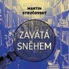Zavátá sněhem - Stručovský Martin - Preiss Martin