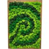 Machový obraz Spiral 50x35cm