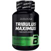 BioTech USA Tribulus Maximus - 90 tabliet