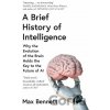 A Brief History of Intelligence - Max Bennett
