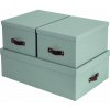 Kartónové úložné boxy s vekom v mentolovej farbe v súprave 3 ks 31x47x15 cm Inge – Bigso Box of Sweden