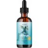 BrainMax Vegan Omega Kids omega-3 pro děti 90 ml