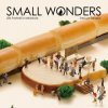 Small Wonders: Life Portrait in Miniature (Tatsuya Tanaka)(Pevná)