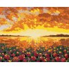 Zuty – Maľovanie Podľa Čísel – Kvetinové Pole Vo Francúzsku, 40 × 50 cm, Plátno + Rám 8596530107378