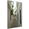 Vertikálny foto obraz akrylový Uličky Andalúzie 50x100 cm