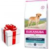 EUKANUBA Dospelý labradorský retriever 12kg + prekvapenie pre vášho psa ZDARMA