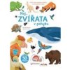 Nej ZVÍŘATA v pohybu