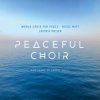 Meijer Lavinia & World ChoirFor Peace - Peaceful Choir... / 2CD [2 CD]