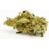 Cannapio Wellness Indoor CBD Květy do 1% THC 10g