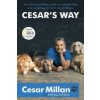 Cesar's Way