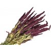 Sušené kvety Amaranthus cruentus - Láskavec krvavý 150g - bordový