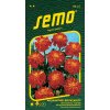 SEMO Aksamitník rozkladitý - Carmen 1g