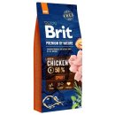 Brit Premium by Nature Sport 2 x 15 kg