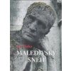Maledivský sneh - Ján Mičko