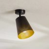 EMIBIG LIGHTING Stropné svietidlá Prism, 1-plameňové, čierne/zlaté - 406/1