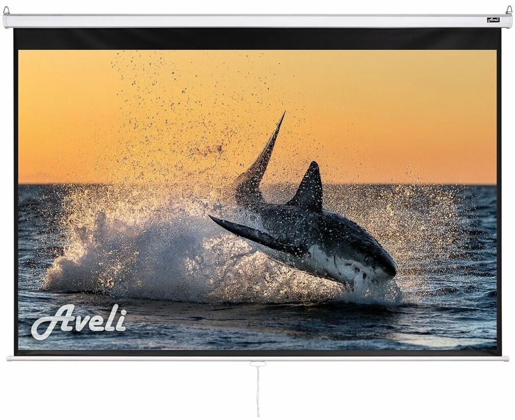 Aveli 175x109cm 16:10 XRT-00104