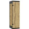 Tritón Pardubice, spol. s r. o. TRITON šatníková skriňa 1-dverová kov-lamino T1525, čierna - dub Baroque Gold