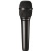Audio-Technica AT2010