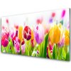 Nástenný panel Tulipány kvety 100x50 cm