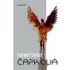 Tajemný soused (Monika J. Čapková)