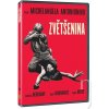 Zväčšenina