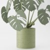 Monstera Magnetica - dizajnová 3D tlačená dekorácia, BOHO štýl Farba: Oliva