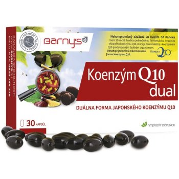 Barny's Koenzým Q10 Dual 60 mg 30 kapsúl