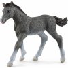 Schleich 13944 zvířátko hříbě trakénské