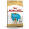 Royal Canin Labrador Puppy 12 kg