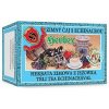 HERBEX ČAJ ZIMNÝ S ECHINACEOU 20x3G
