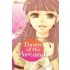 Dawn of the Arcana, Vol. 6 (Rei Toma,Kajiya Productions,Freeman Wong,Yukiko Whitley,Amy Yu)(Brožovaná)