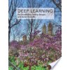 Deep Learning (Goodfellow Ian)
