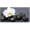 Foto obraz akrylový Orchidea 100x50 cm