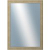 DANTIK - Zrkadlo v rámu, rozmer s rámom 50x70 cm z lišty ANDRÉ veľká Champagne (3158)