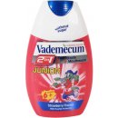 Vademecum Junior Jahoda 2 v 1 detská zubná pasta a ústní voda v jednom 75 ml