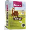 Pavo VITAL vrece 20 kg