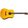 Tanglewood TW40 D AN E