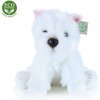 Rappa Plyšový pes westík sedící 30 cm ECO-FRIENDLY