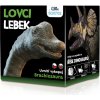 Albi Lovci Lebek Brachiosaurus
