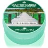 Country Candle Citrus & Seagrass čajová sviečka 42 g