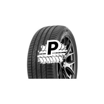 DELINTE DS2 235/35 R19 91W