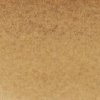 Winsor & Newton watercolor promarker 554 raw umber