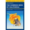 Field Guide to the Common Bees of California (Gretchen LeBuhn)(Brožovaná)