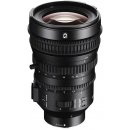 Sony E PZ 18-110mm f/4 G OSS