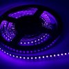 Pásik LED2835, 120ks/m, UV, 24V, 21W/m, IP20 28NK60-UV 395-400nm