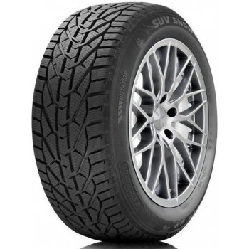 Riken SNOW 225/55 R17 101V