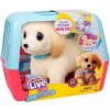 Moose Toys Little Live Pets Ouchies! Interaktívny plyšový retriever Cooper